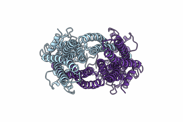 8CHB image