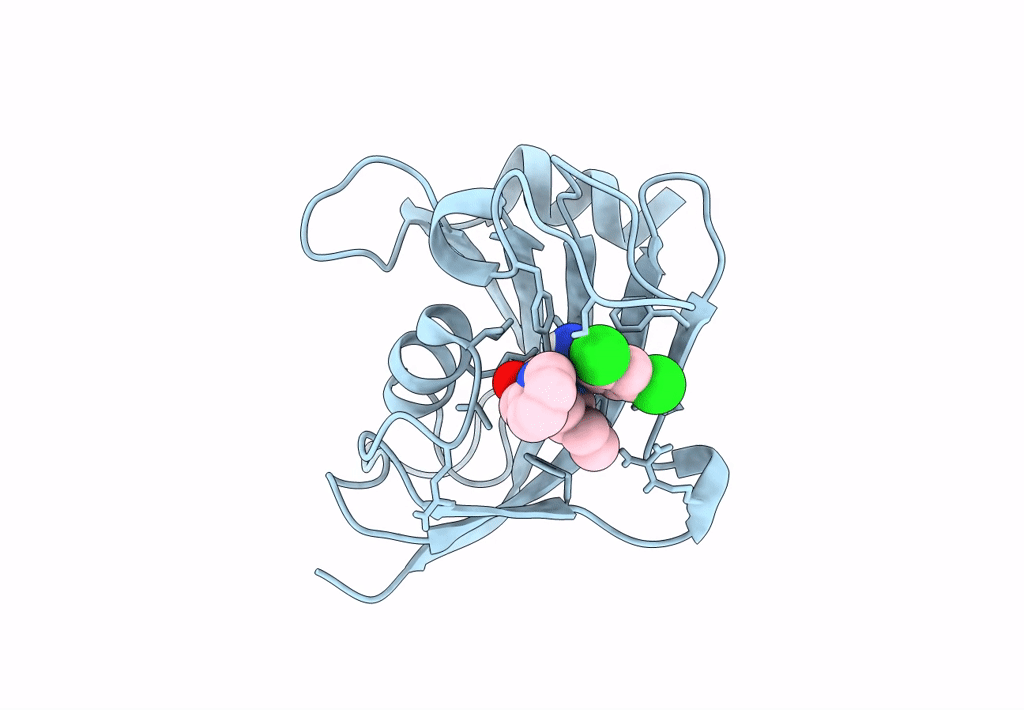 8CHN image
