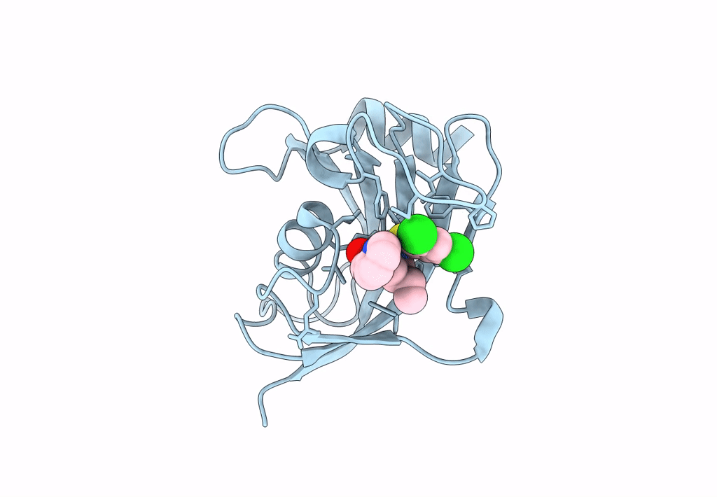 8CHP image