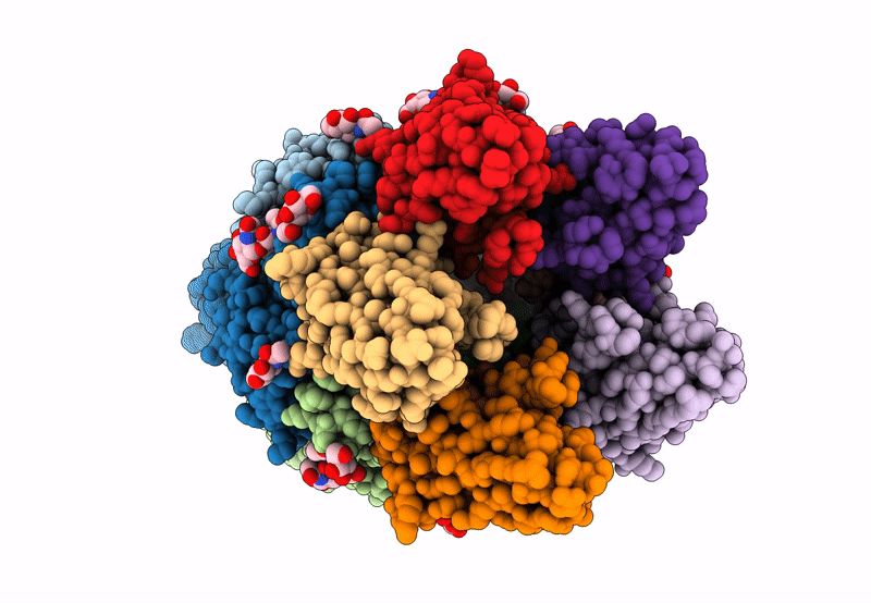 8CI1 image