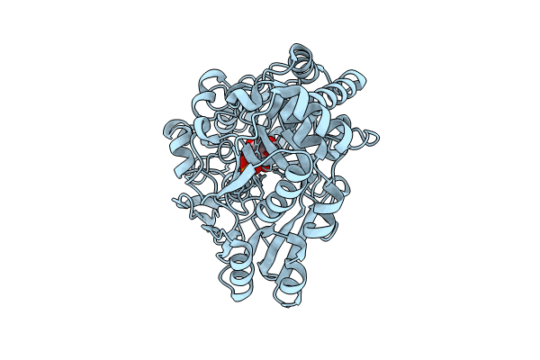 8CI6 image