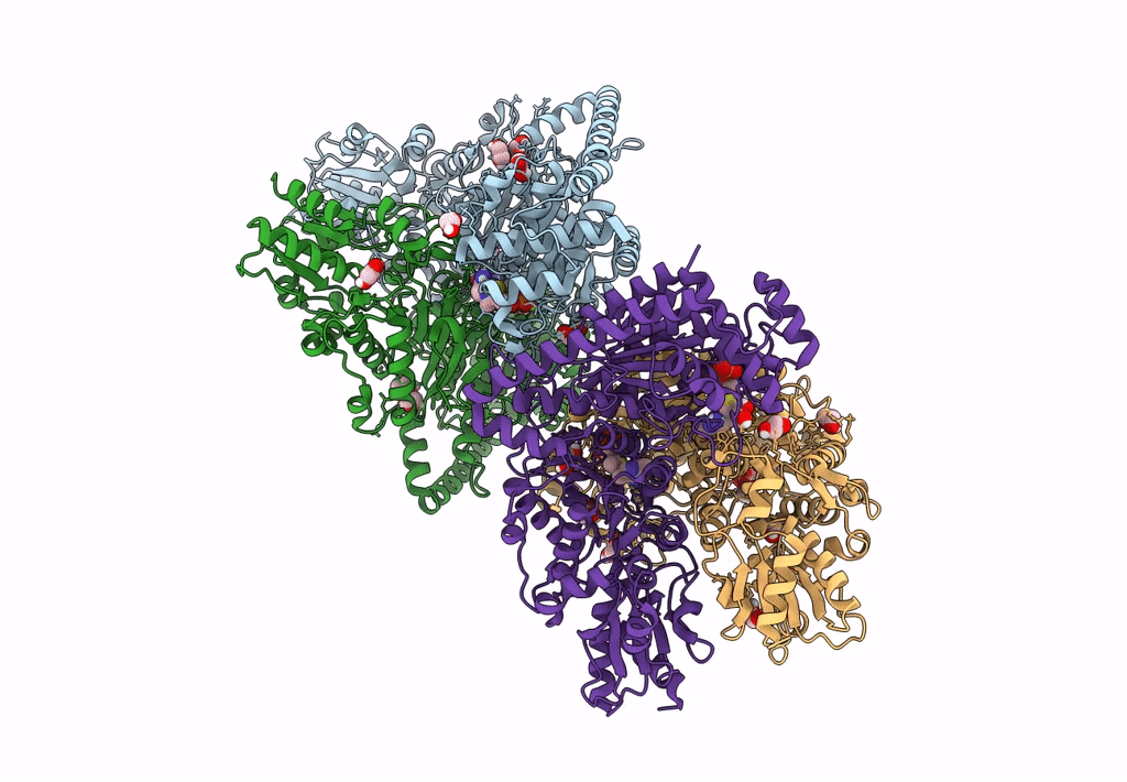 8CIP image