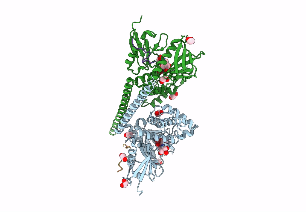 8CIR image