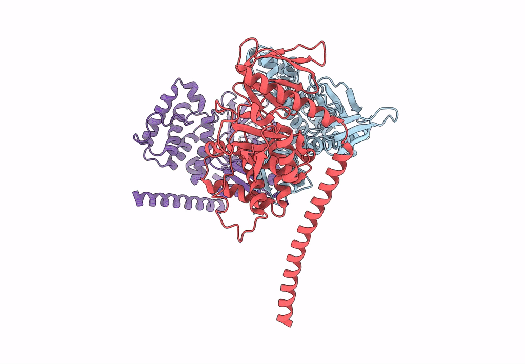 8CIT image