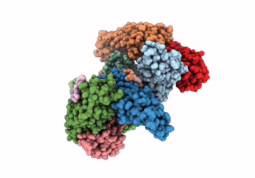 8CJ1 image