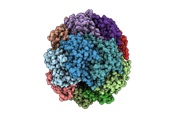 8CJ4 image