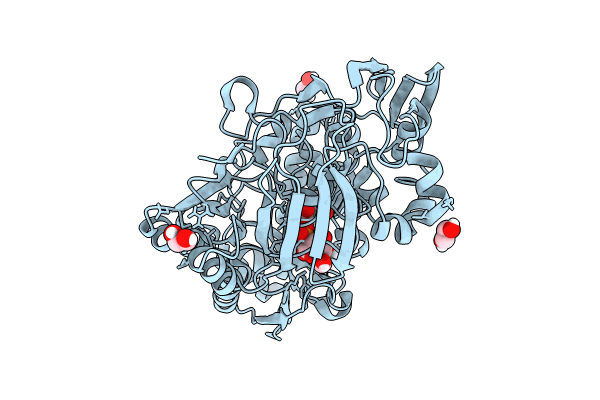 8CKD image