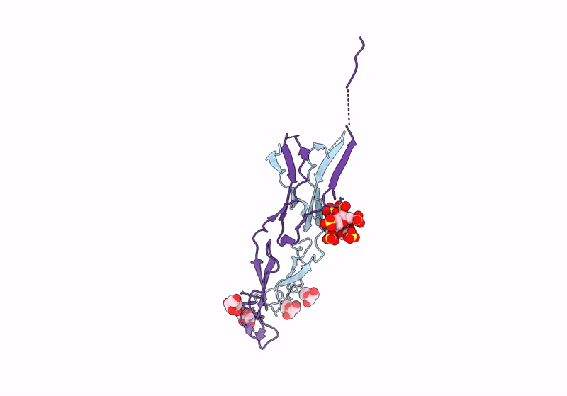 8CKL image