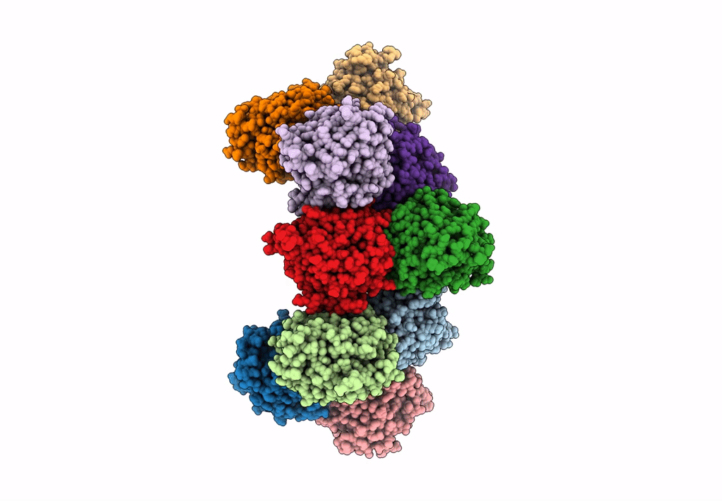 8CKP image
