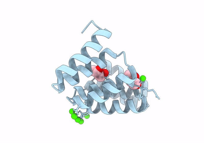 8CKR image
