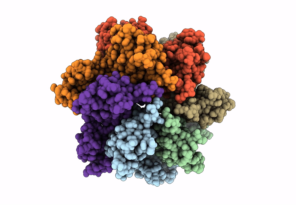 8CKX image