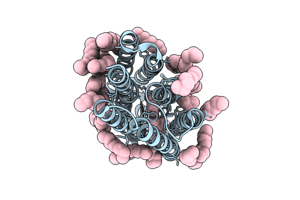 8CL8 image