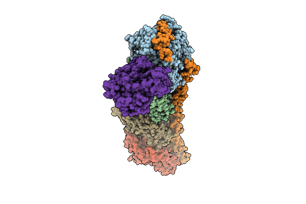 8CLB image