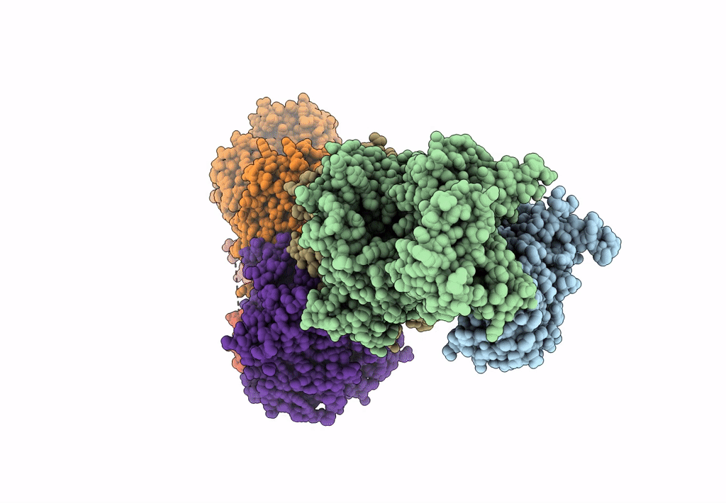 8CLL image