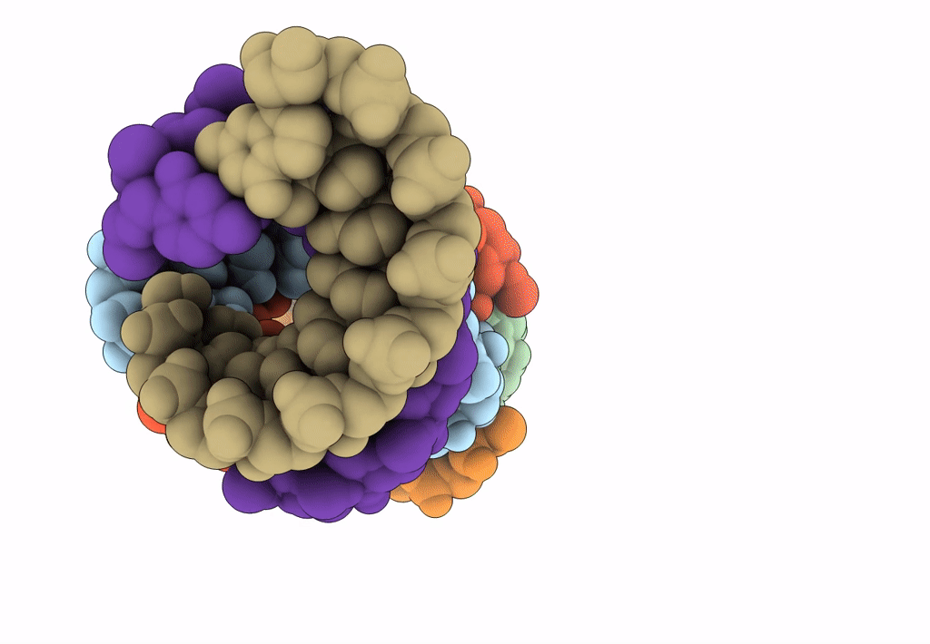 8CLM image