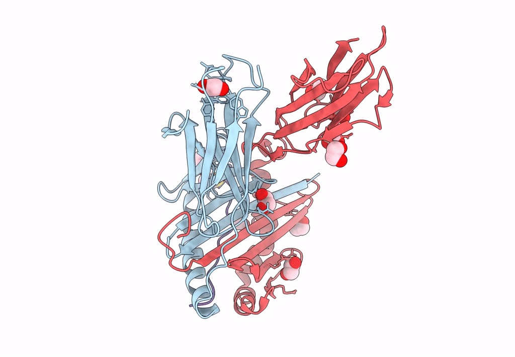 8CMB image