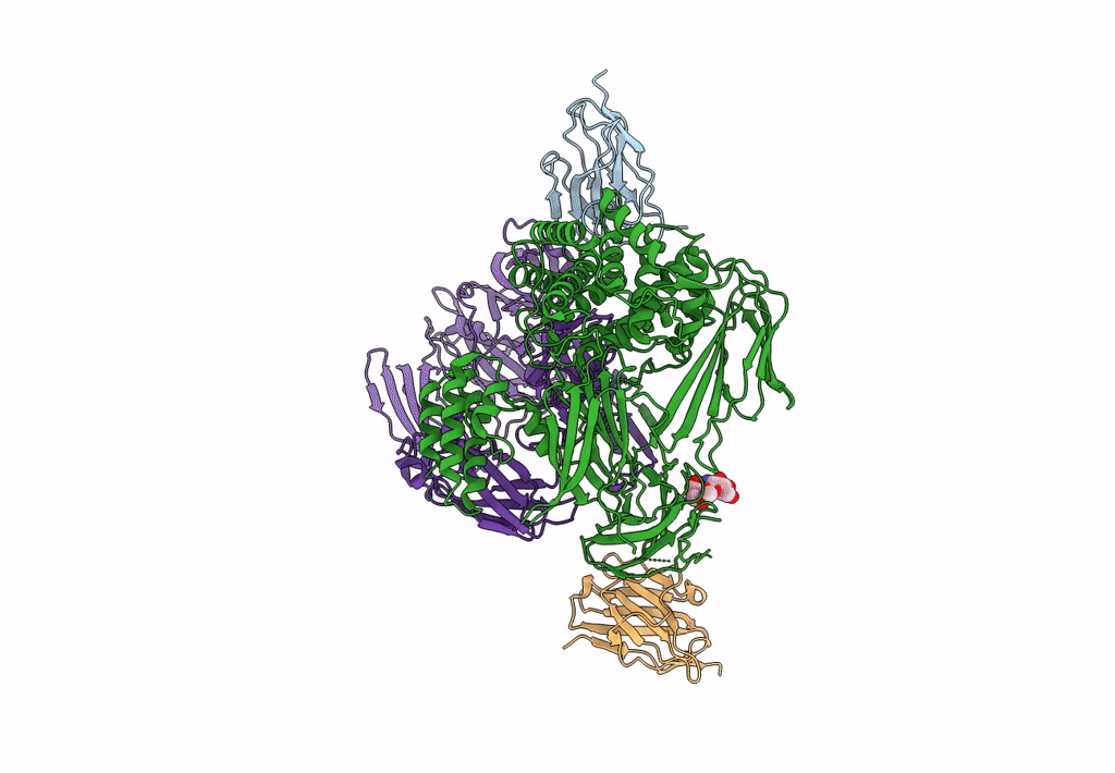 8CML image