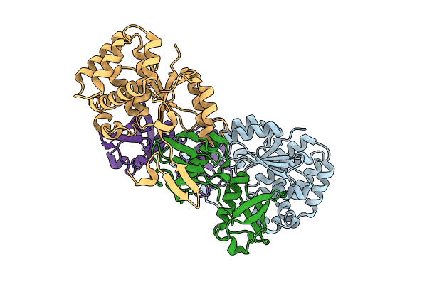 8CMR image
