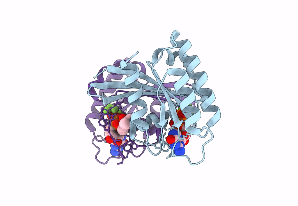 8CNJ image