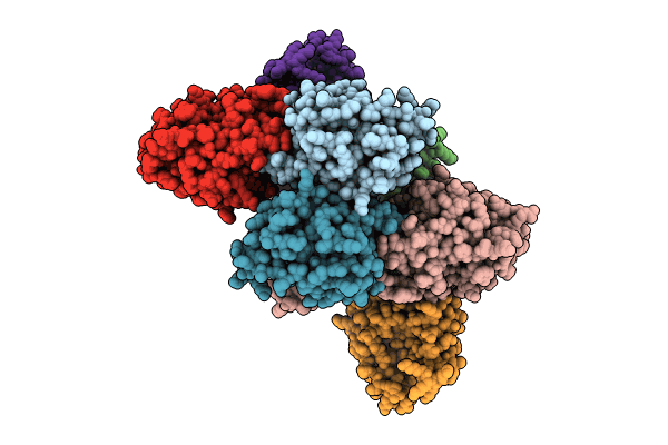 8CNL image