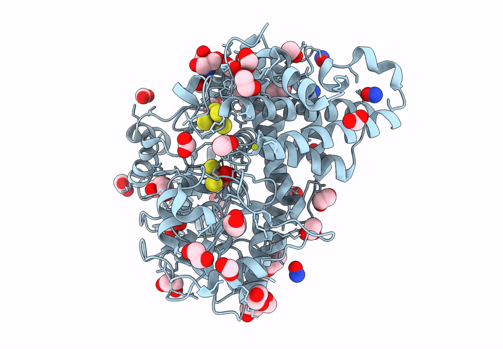 8CNS image