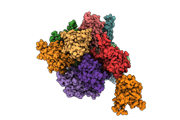 8COI image