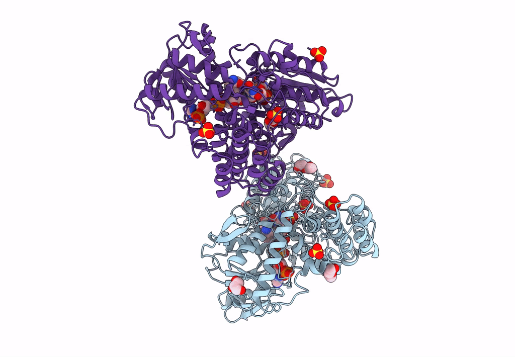 8CP5 image