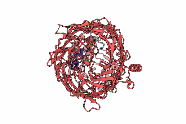 8CP6 image