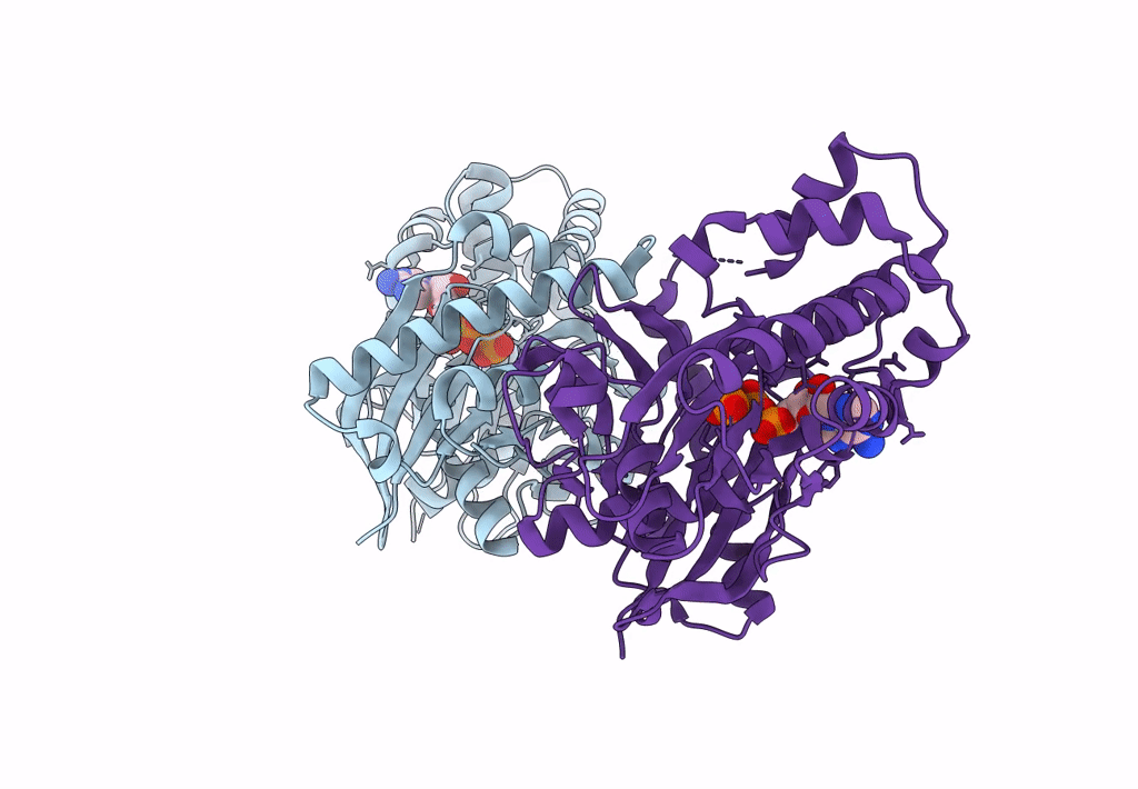 8CP9 image