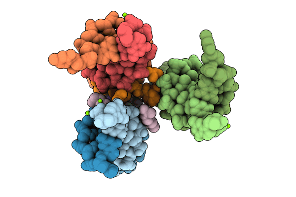 8CPG image