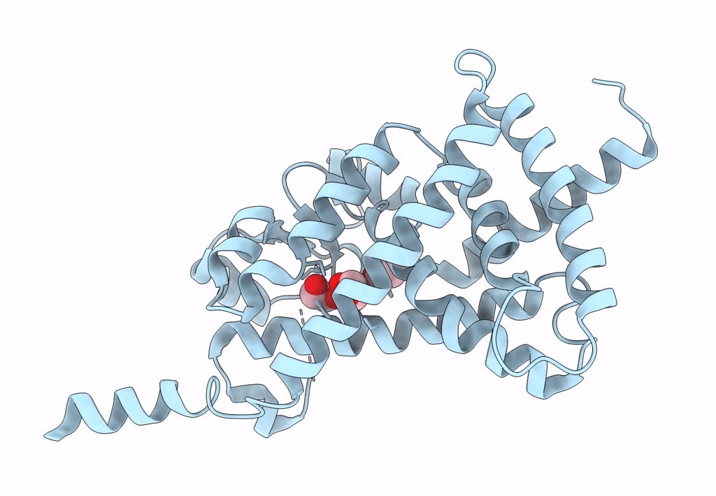 8CPJ image