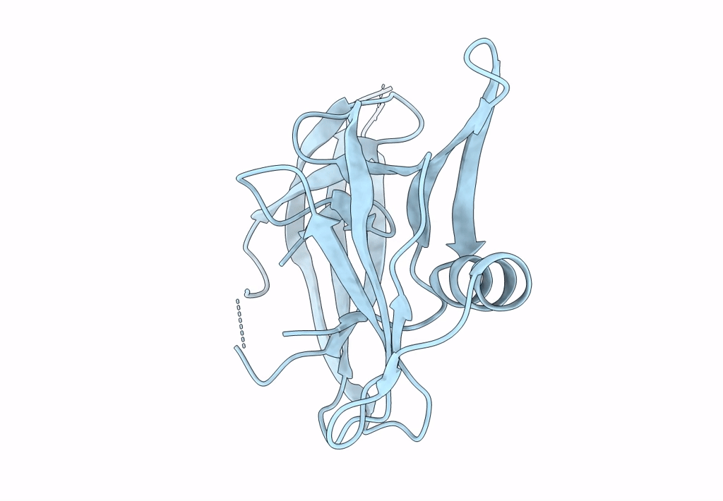 8CPN image