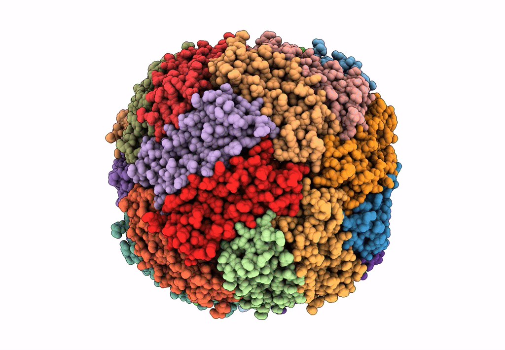 8CPV image