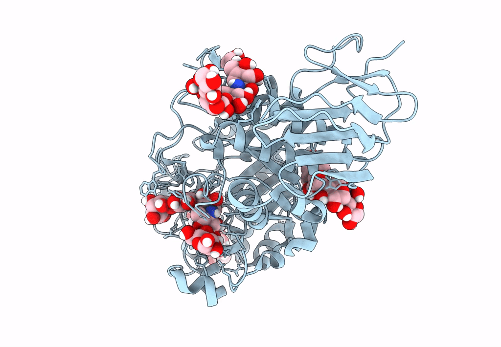 8CQF image