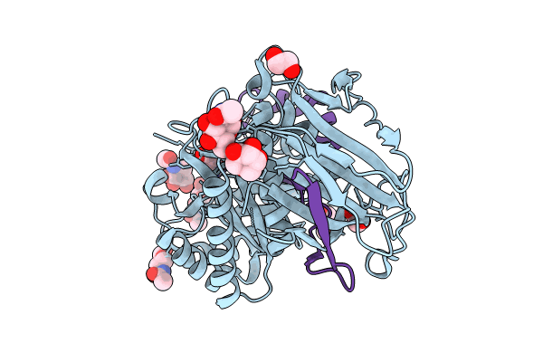 8CQI image