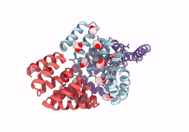 8CQP image