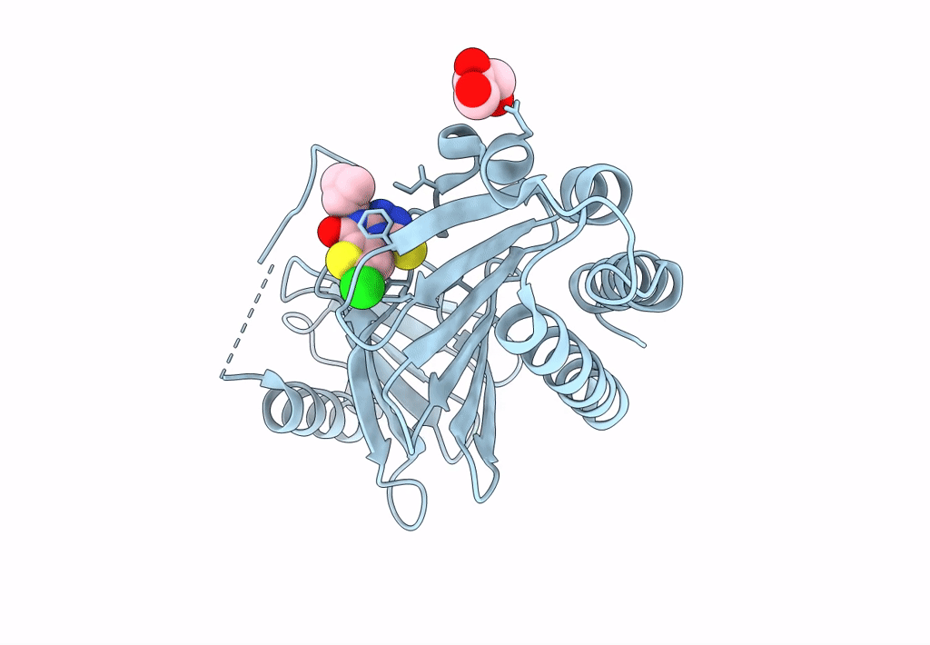 8CRC image
