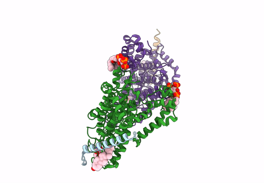 8CRR image