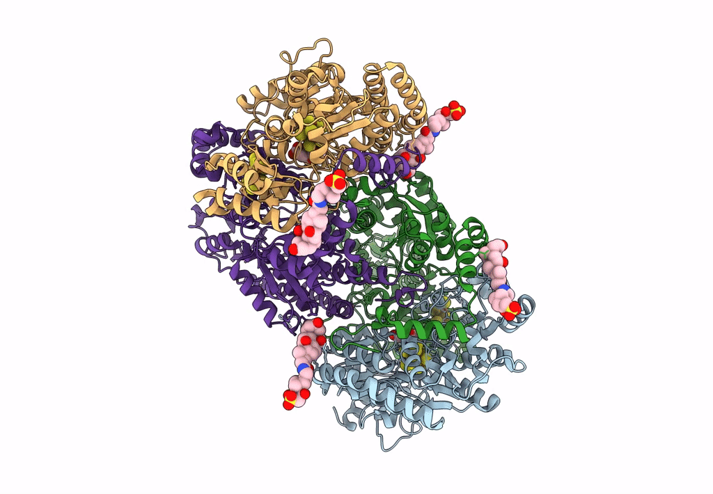 8CRS image