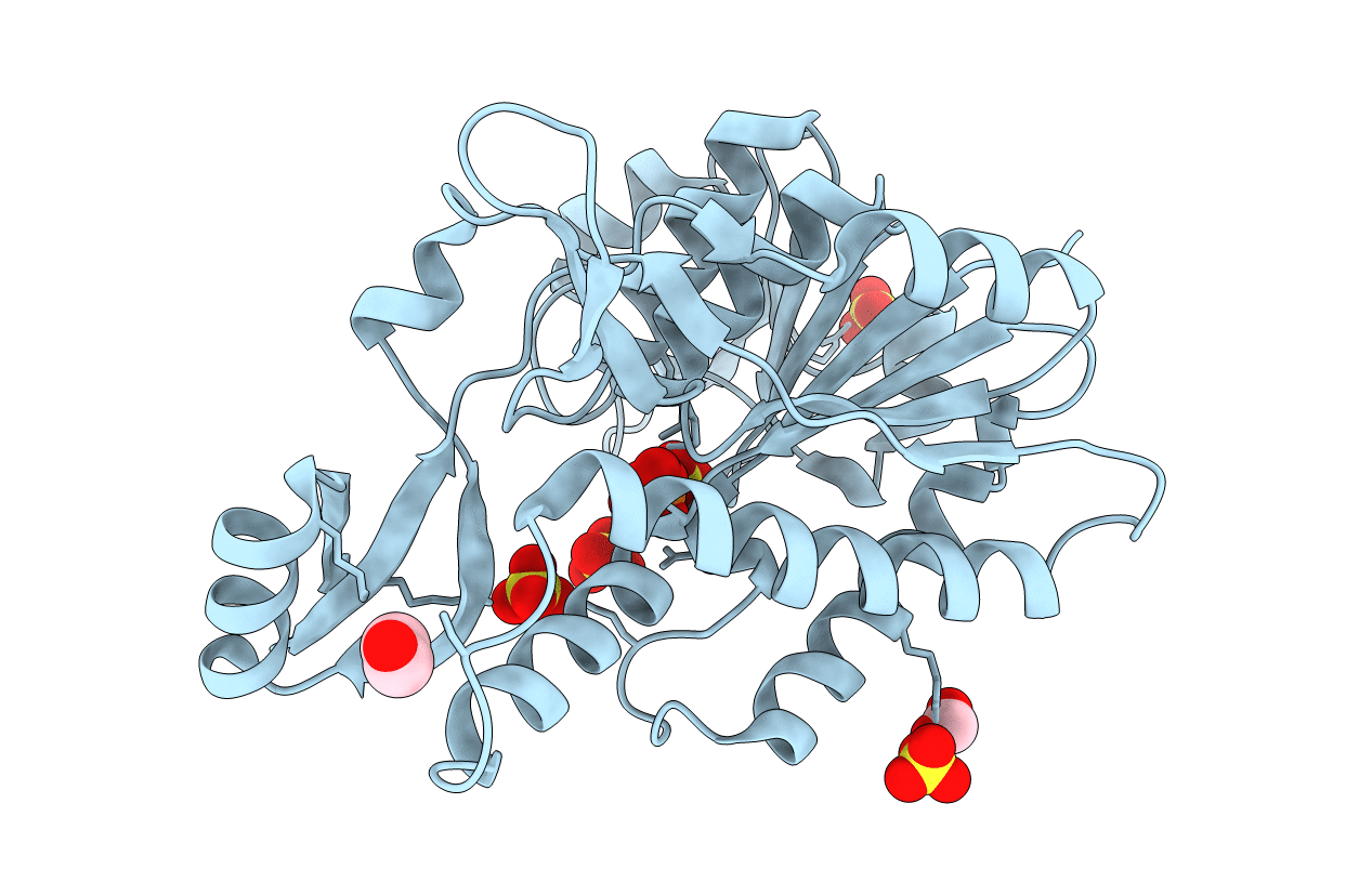 8CRV image