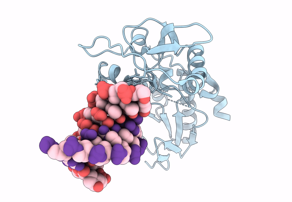 8CS0 image