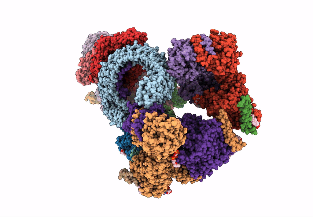 8CS9 image