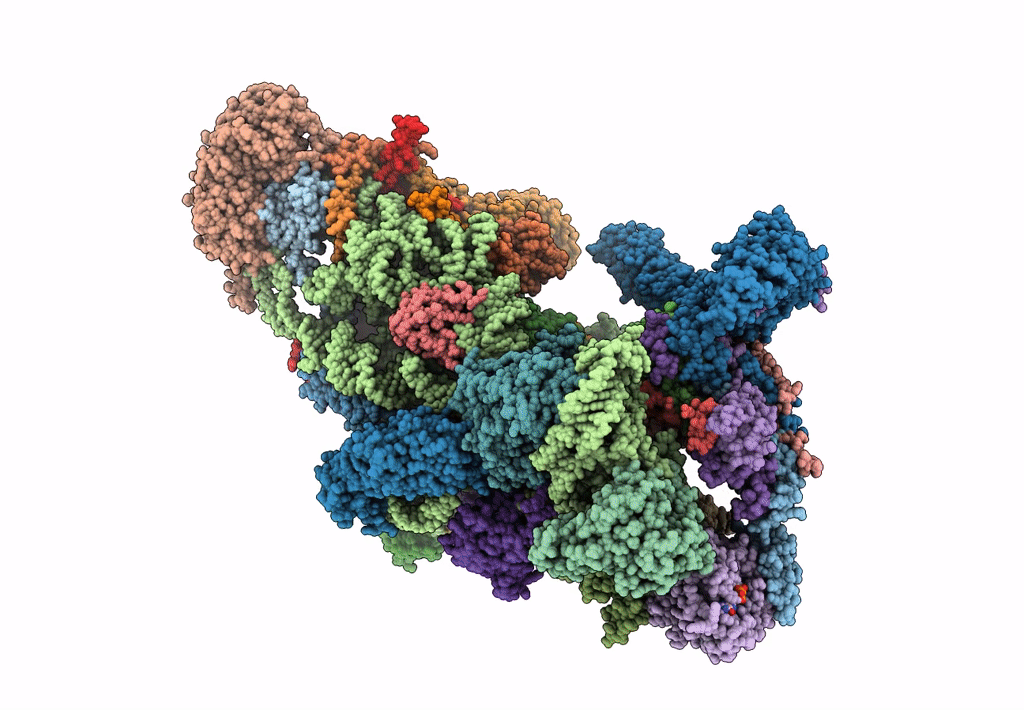 8CSQ image