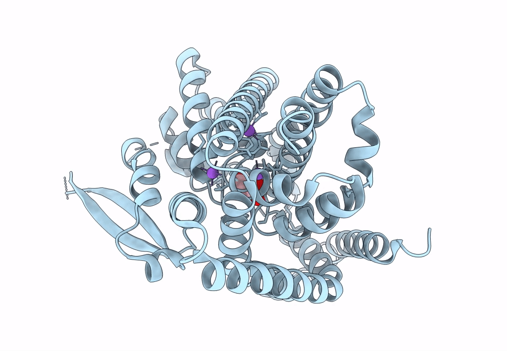 8CTD image