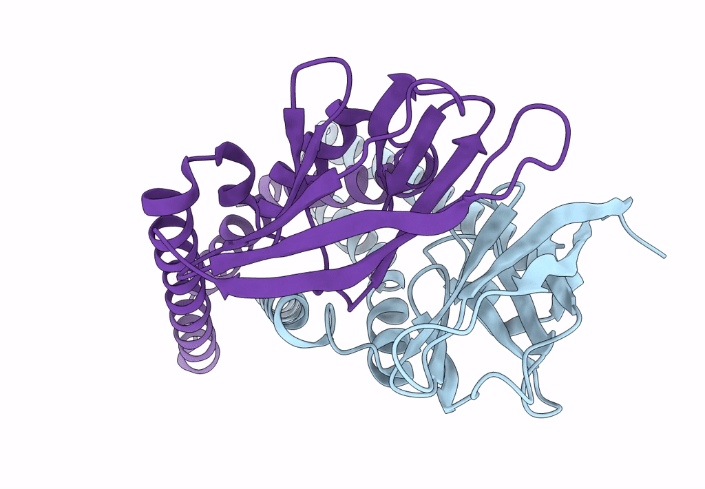 8CTK image