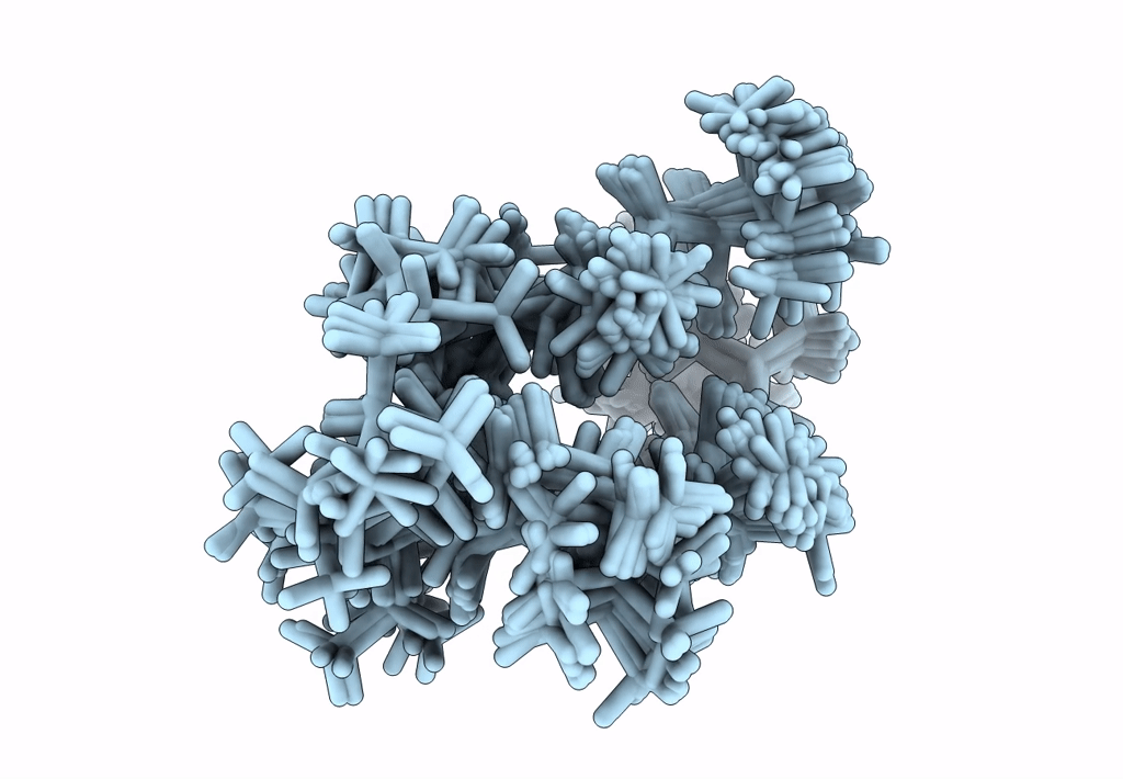 8CTO image