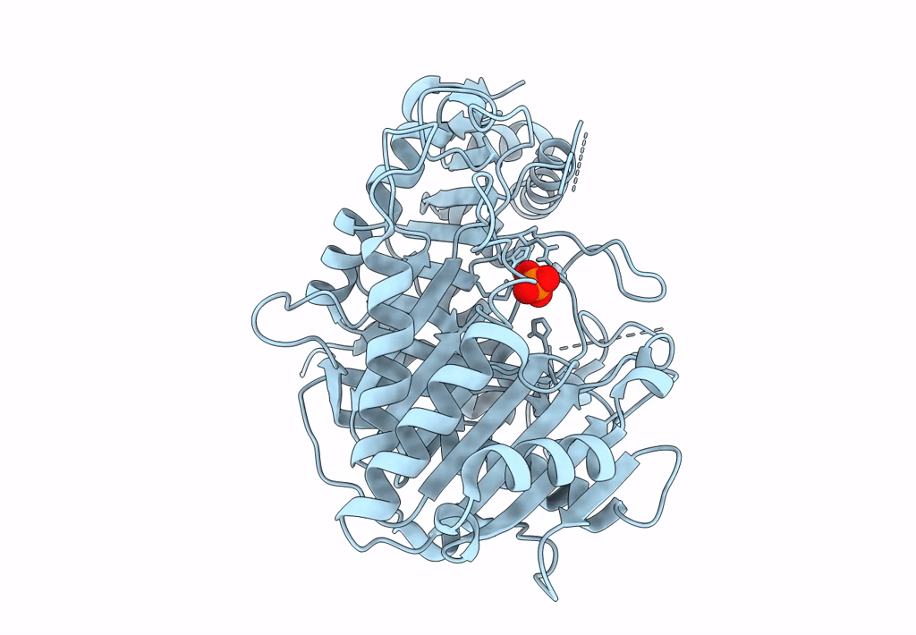 8CTP image