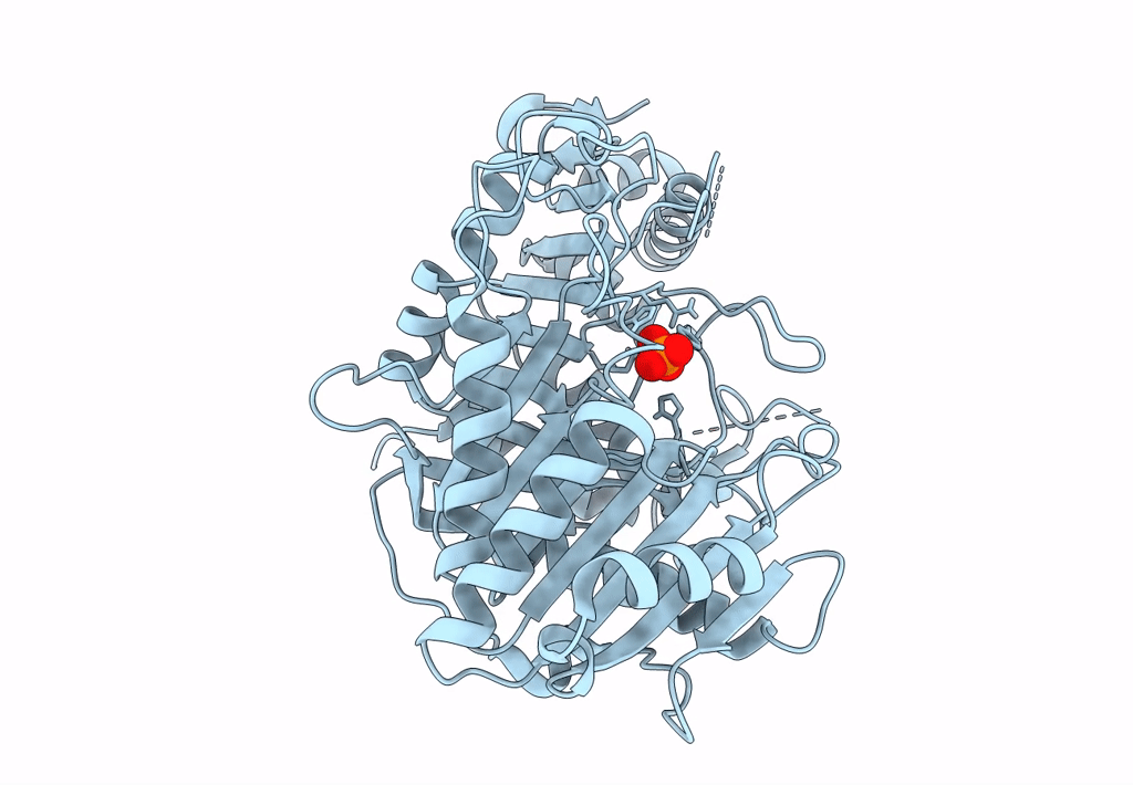8CTQ image