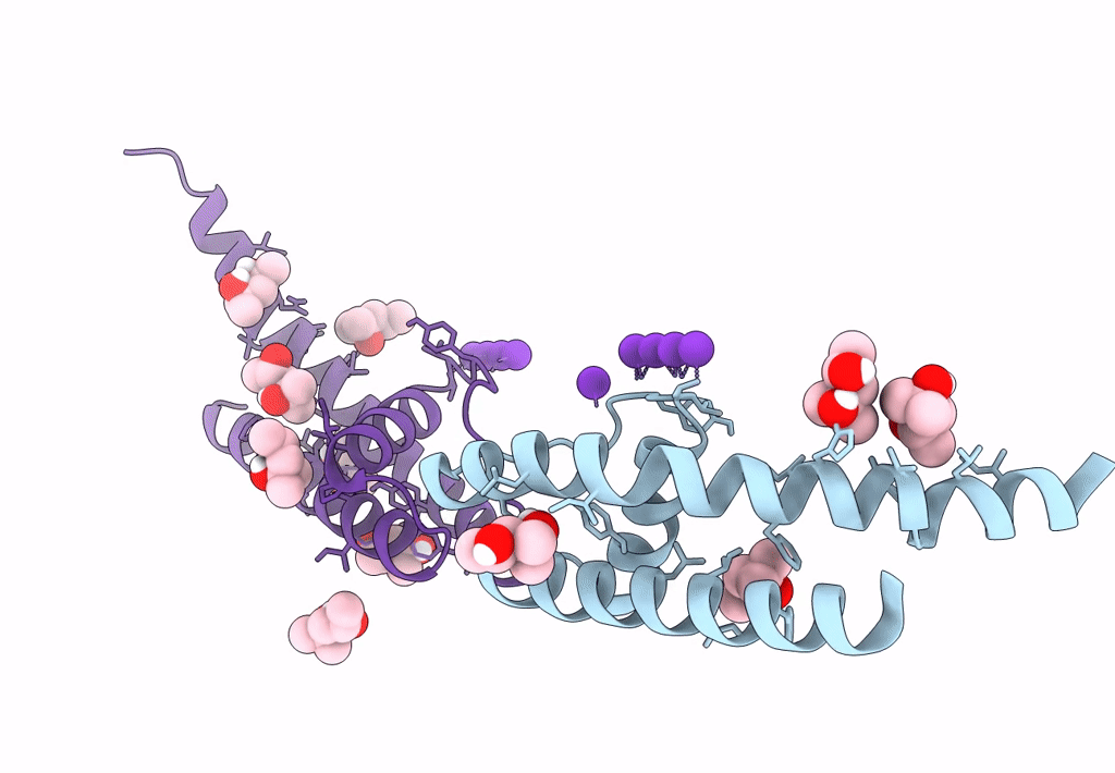8CTT image