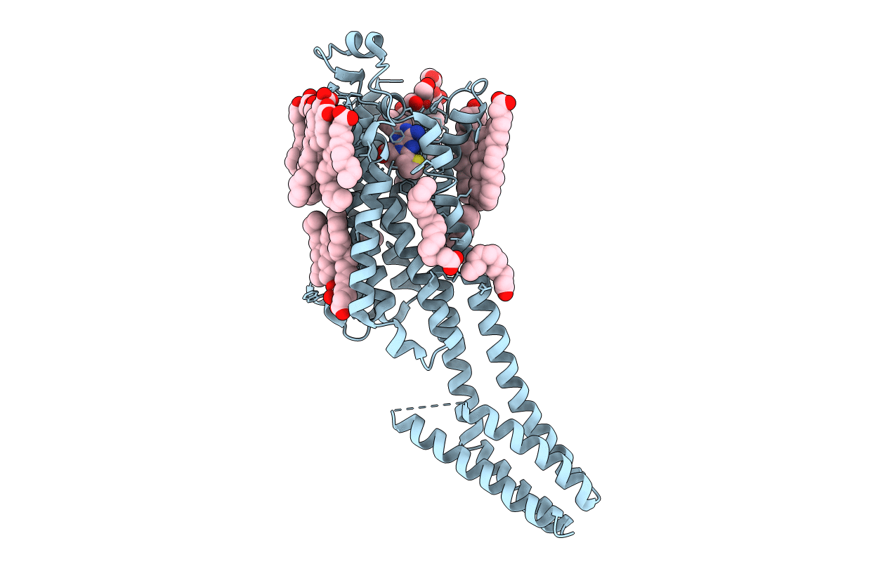 8CU6 image